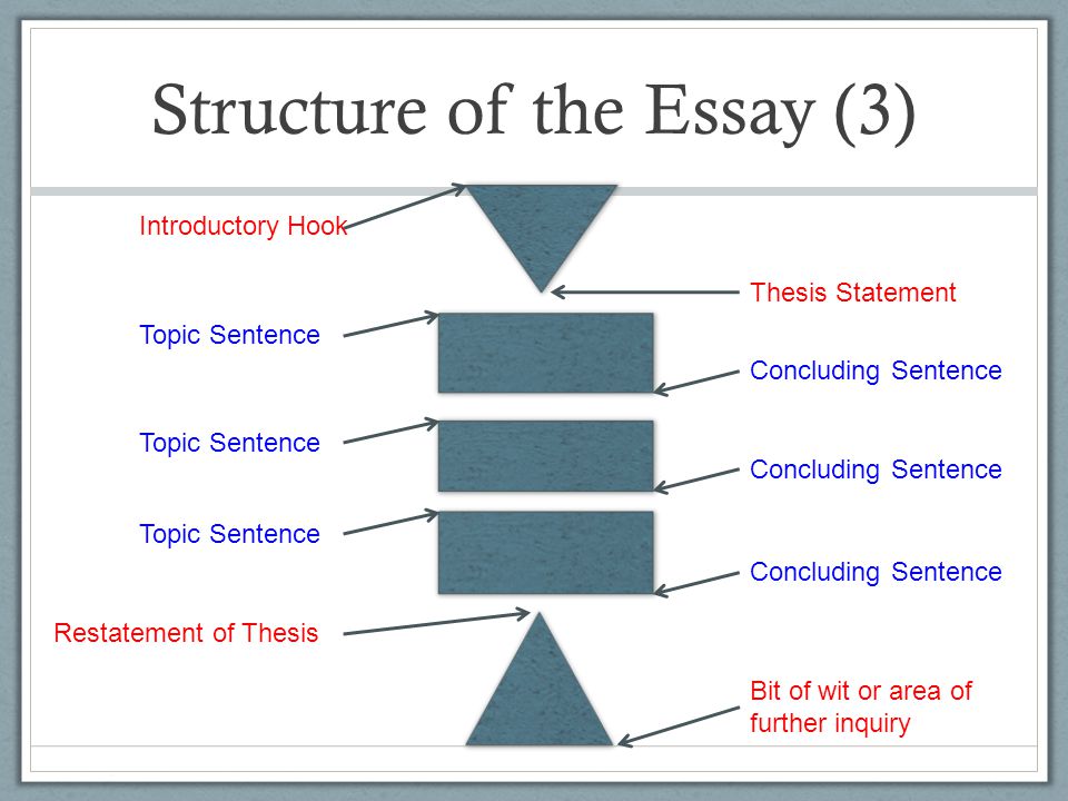 the structure of the essay explanation of paragraphs introductory structure of the essay thesis statement topic sentence concluding sentence restatement of thesis bit of wit or area of further inquiry introductory