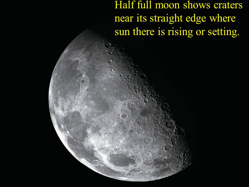 Half full moon shows craters near its straight edge where sun there is rising or setting.