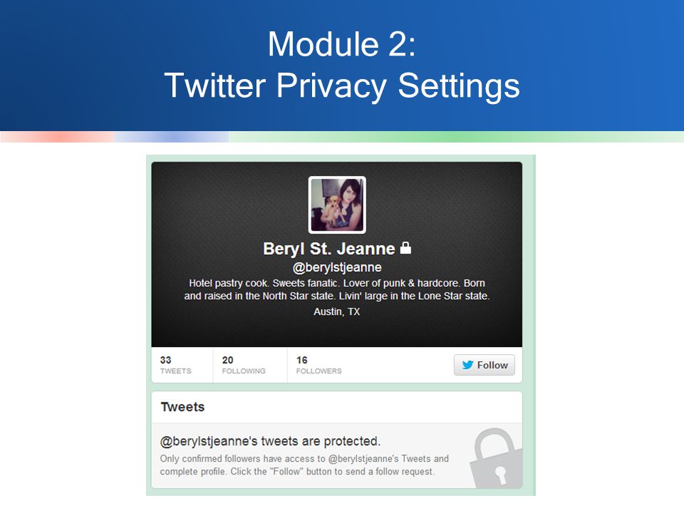 Module 2: Twitter Privacy Settings