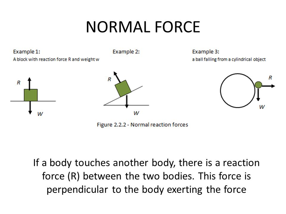 forces force is a vector quantity and is measured in newtons 1n