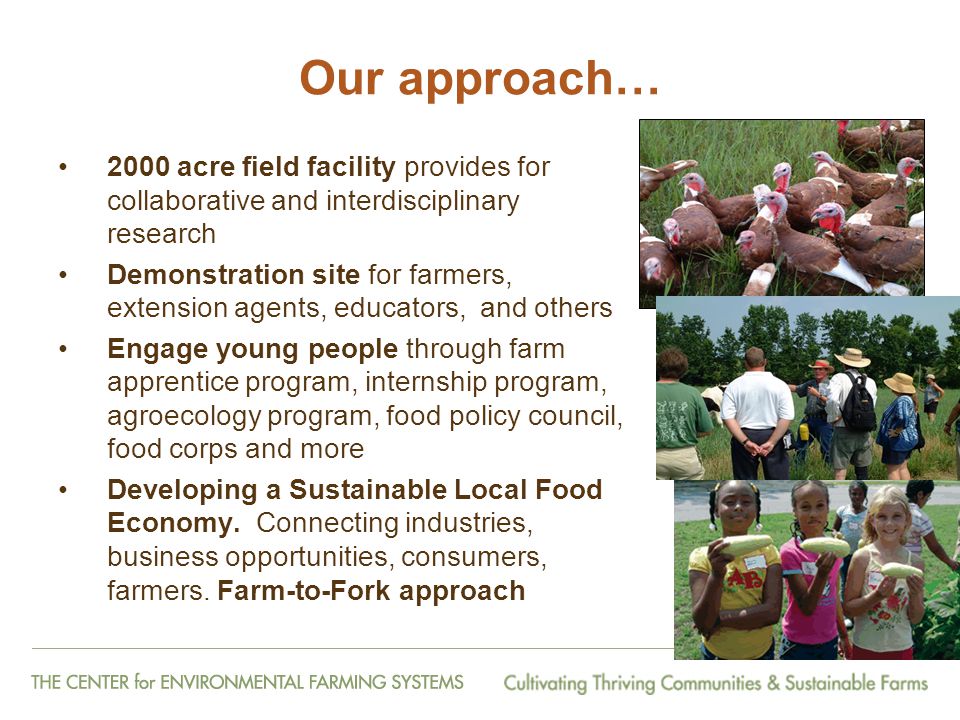 Our approach… 2000 acre field facility provides for collaborative and interdisciplinary research Demonstration site for farmers, extension agents, educators, and others Engage young people through farm apprentice program, internship program, agroecology program, food policy council, food corps and more Developing a Sustainable Local Food Economy.