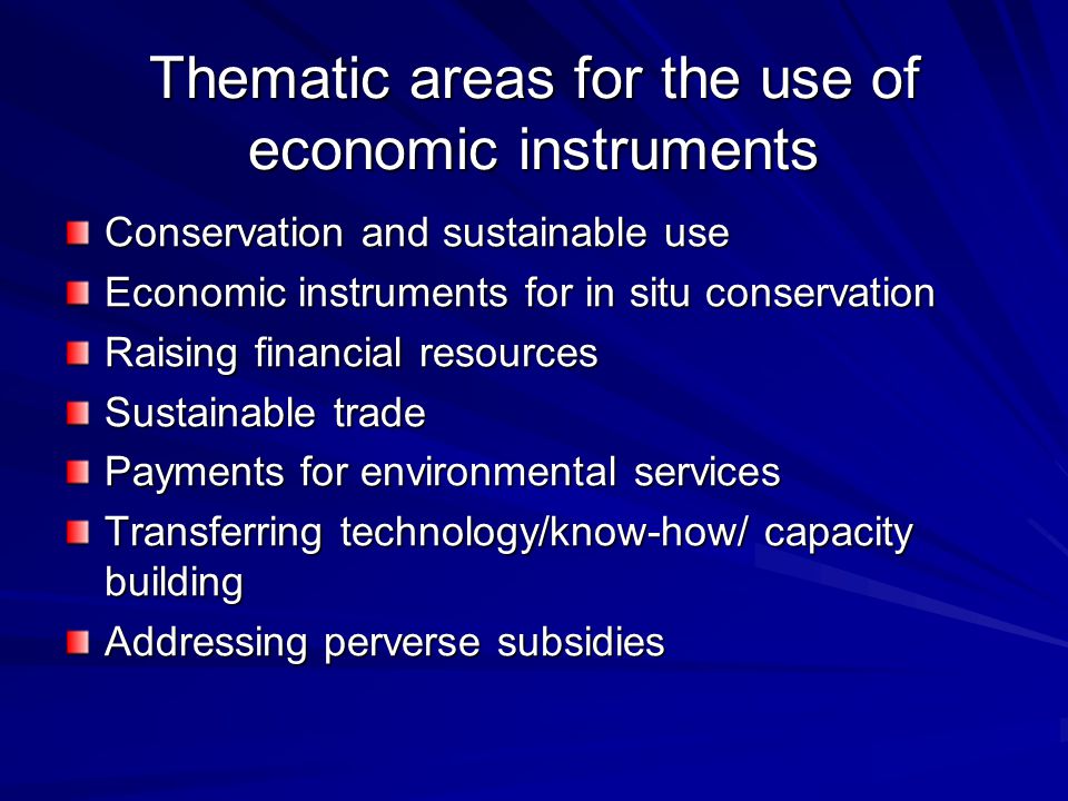 Thematic areas for the use of economic instruments Conservation and sustainable use Economic instruments for in situ conservation Raising financial resources Sustainable trade Payments for environmental services Transferring technology/know-how/ capacity building Addressing perverse subsidies