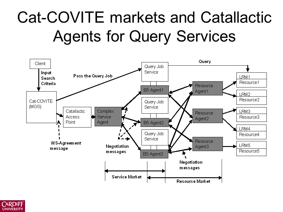 Cat-COVITE markets and Catallactic Agents for Query Services