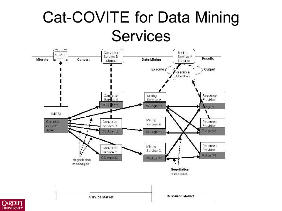 Cat-COVITE for Data Mining Services