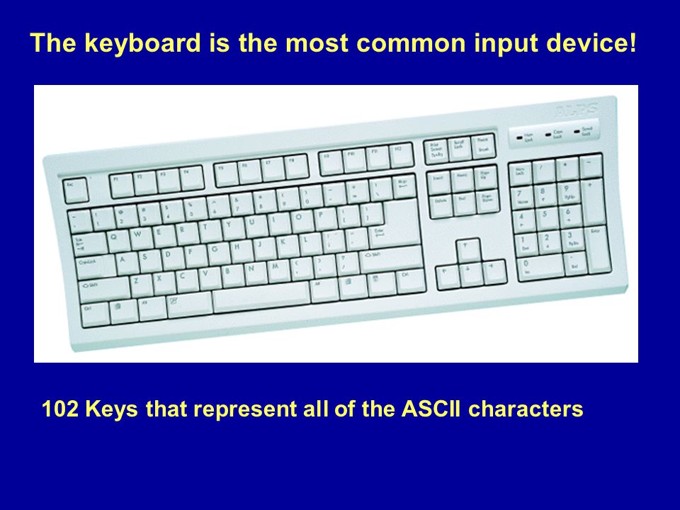 The keyboard is the most common input device! 102 Keys that represent all of the ASCII characters