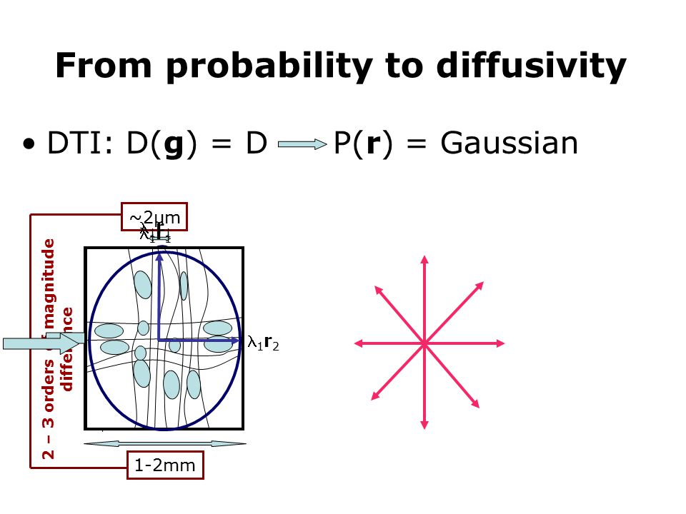 From probability to diffusivity DTI: D(g) = D P(r) = Gaussian ~2µm 2 – 3 orders of magnitude difference 1-2mm 1 r 1 2 r 2 1 r 1 1 r 2