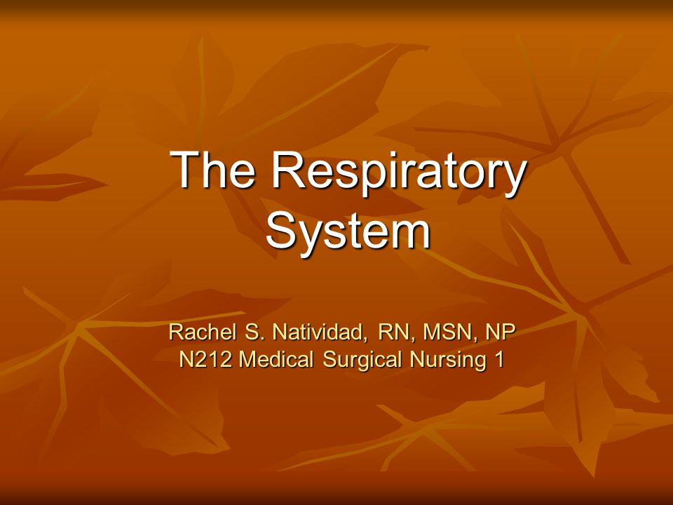 Rachel S. Natividad, RN, MSN, NP N212 Medical Surgical Nursing 1 The Respiratory System