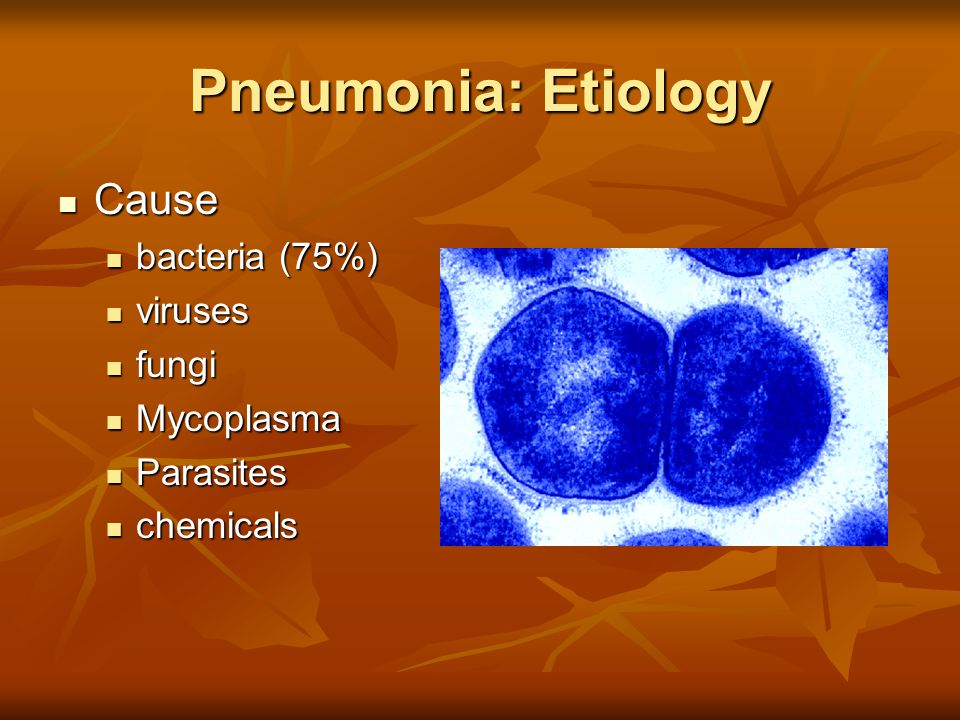Pneumonia: Etiology Cause Cause bacteria (75%) bacteria (75%) viruses viruses fungi fungi Mycoplasma Mycoplasma Parasites Parasites chemicals chemicals