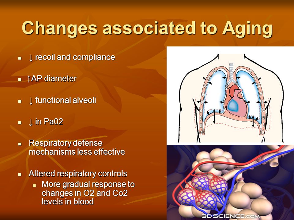 Changes associated to Aging ↓ recoil and compliance ↓ recoil and compliance ⁭ AP diameter ⁭ AP diameter ↓ functional alveoli ↓ functional alveoli ↓ in Pa02 ↓ in Pa02 Respiratory defense mechanisms less effective Respiratory defense mechanisms less effective Altered respiratory controls Altered respiratory controls More gradual response to changes in O2 and Co2 levels in blood More gradual response to changes in O2 and Co2 levels in blood