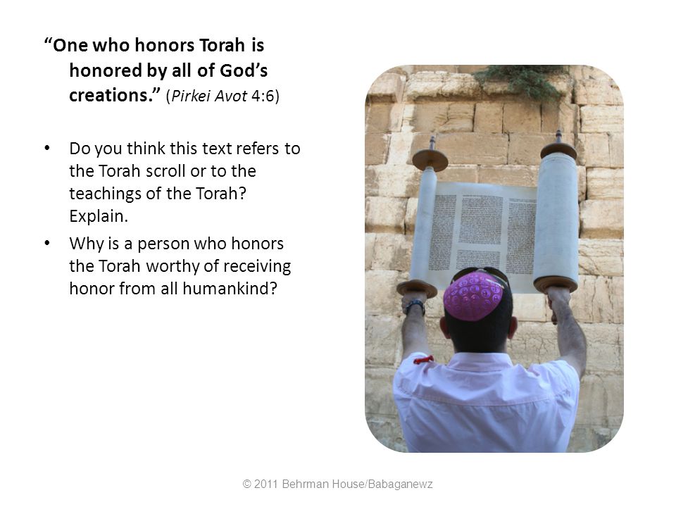 One who honors Torah is honored by all of God’s creations. (Pirkei Avot 4:6) Do you think this text refers to the Torah scroll or to the teachings of the Torah.