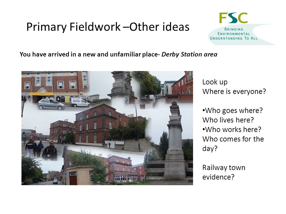 Primary Fieldwork –Other ideas Look up Where is everyone.