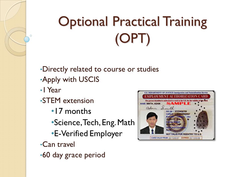 Optional Practical Training (OPT) Directly related to course or studies Apply with USCIS 1 Year STEM extension 17 months Science, Tech, Eng.