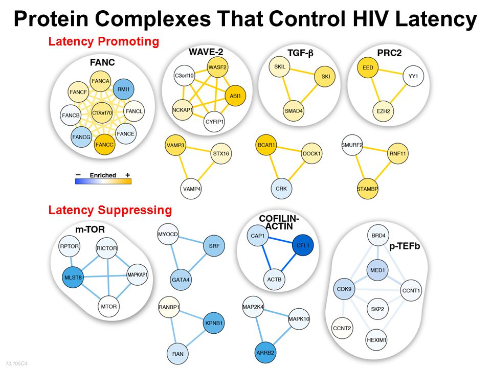 Protein Complexes That Control HIV Latency Latency Promoting Latency Suppressing