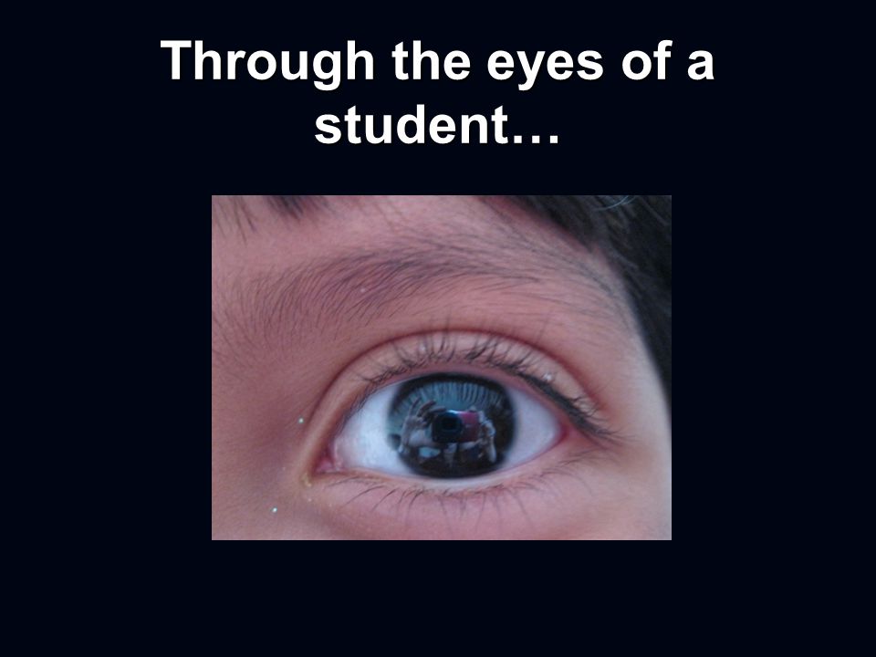Through the eyes of a student…