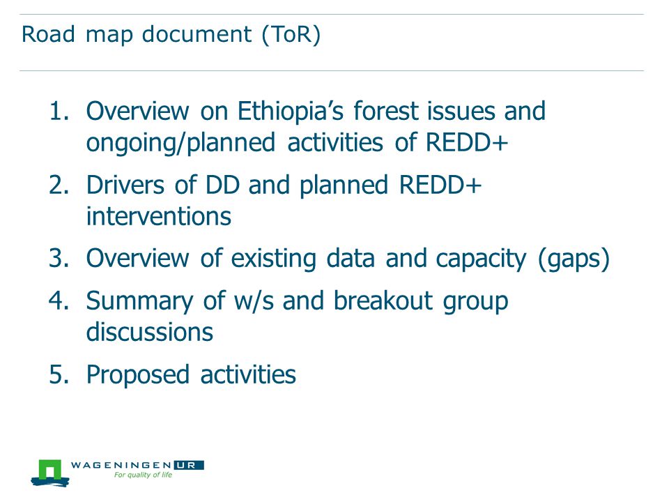 Road map document (ToR) 1.Overview on Ethiopia’s forest issues and ongoing/planned activities of REDD+ 2.Drivers of DD and planned REDD+ interventions 3.Overview of existing data and capacity (gaps) 4.Summary of w/s and breakout group discussions 5.Proposed activities