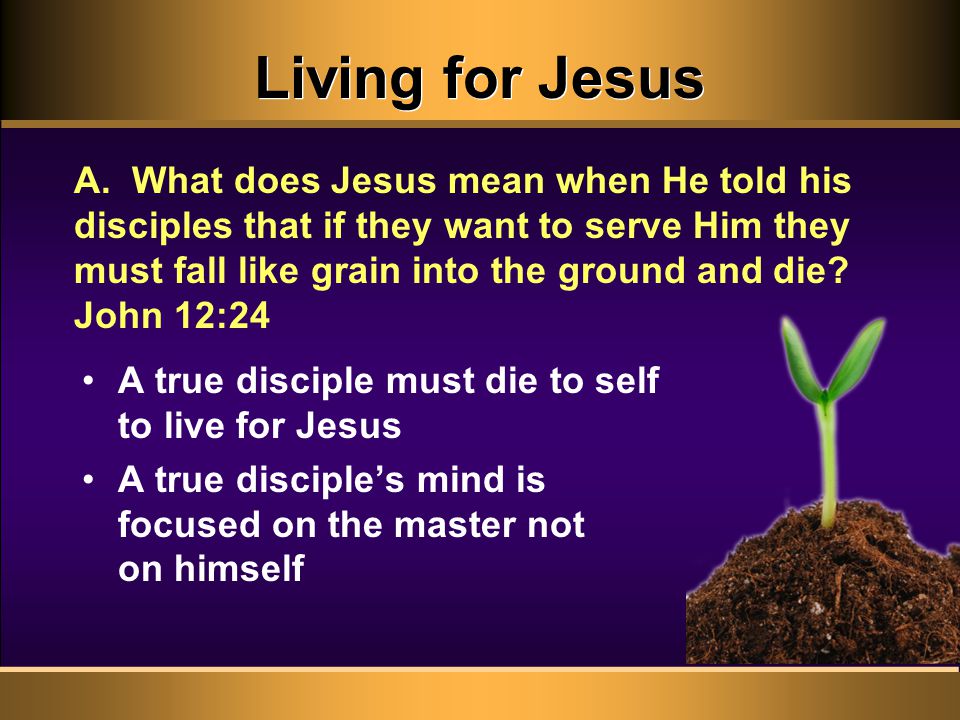 Living for Jesus A true disciple must die to self to live for Jesus A true disciple’s mind is focused on the master not on himself A.