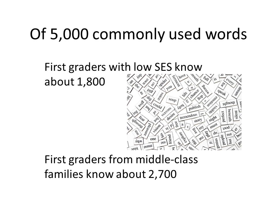 science vocabulary what does research say of 5 000 commonly used vocab words for 1st graders