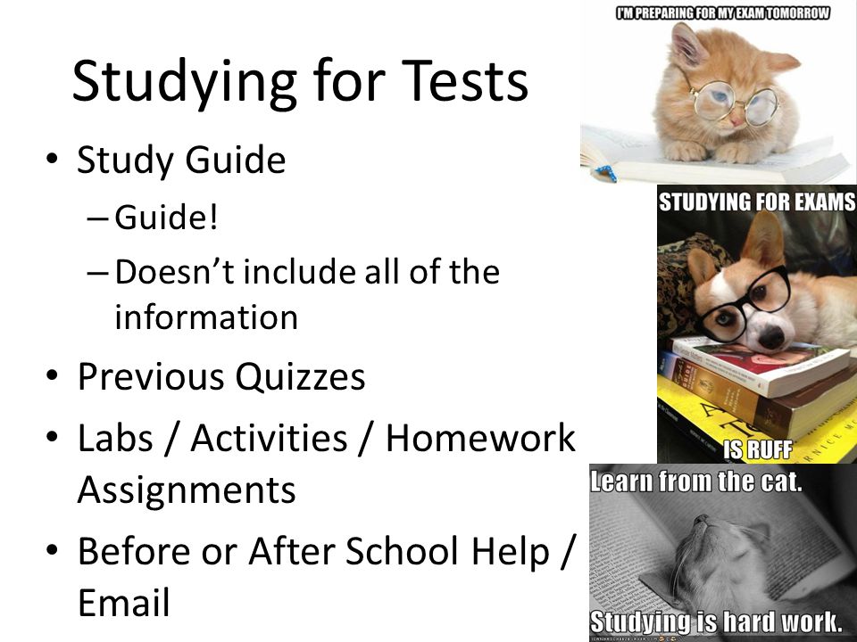 Studying for Tests Study Guide – Guide.