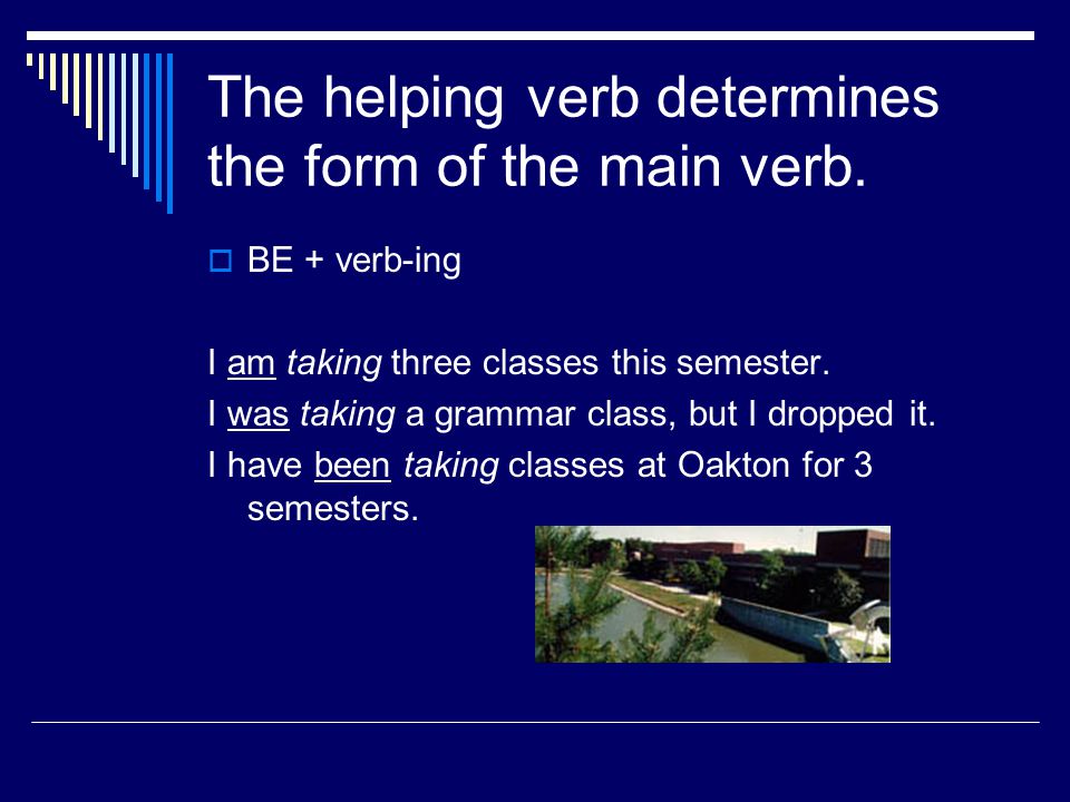 The helping verb determines the form of the main verb.
