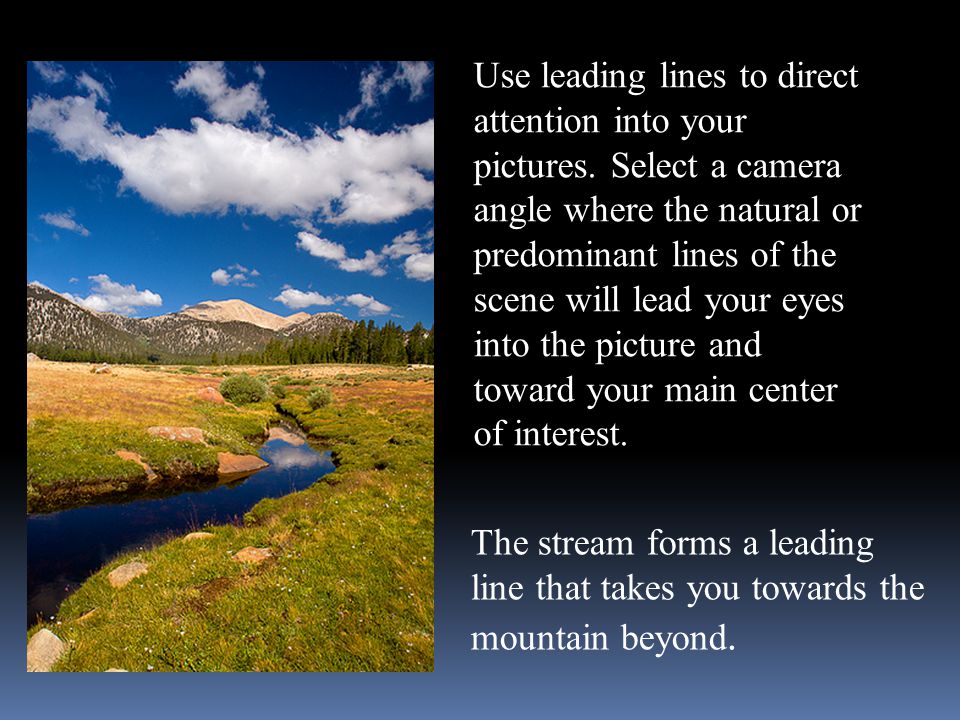 Use leading lines to direct attention into your pictures.