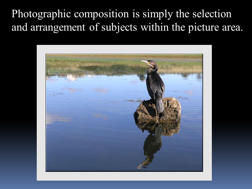 Photographic composition is simply the selection and arrangement of subjects within the picture area.