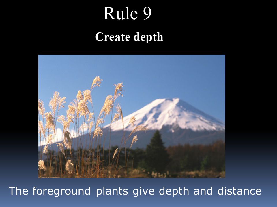 Rule 9 The foreground plants give depth and distance Create depth