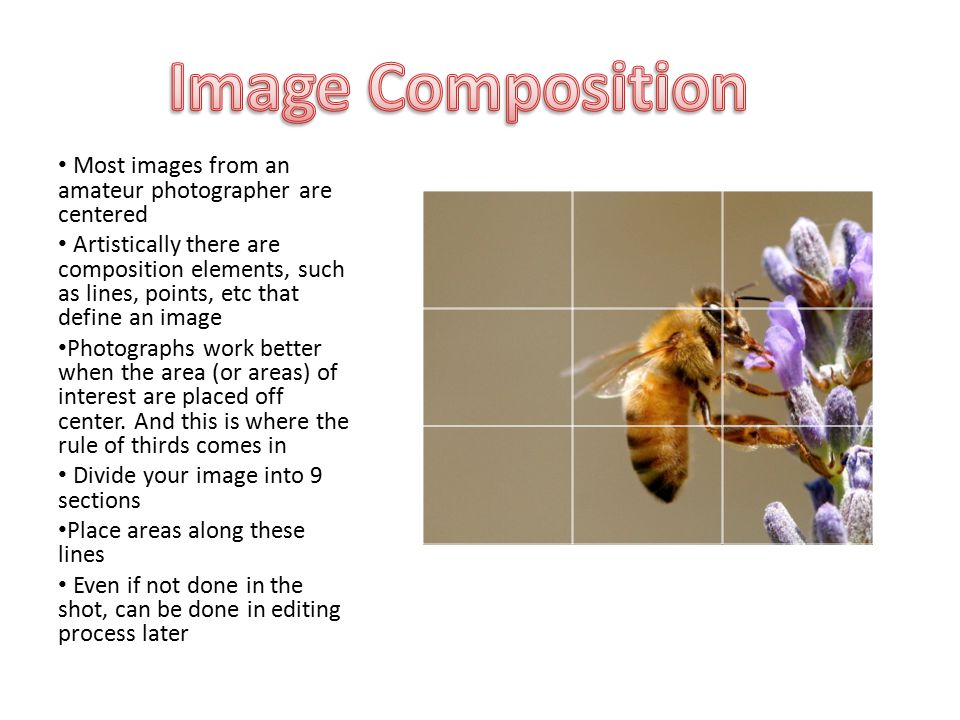 Most images from an amateur photographer are centered Artistically there are composition elements, such as lines, points, etc that define an image Photographs work better when the area (or areas) of interest are placed off center.