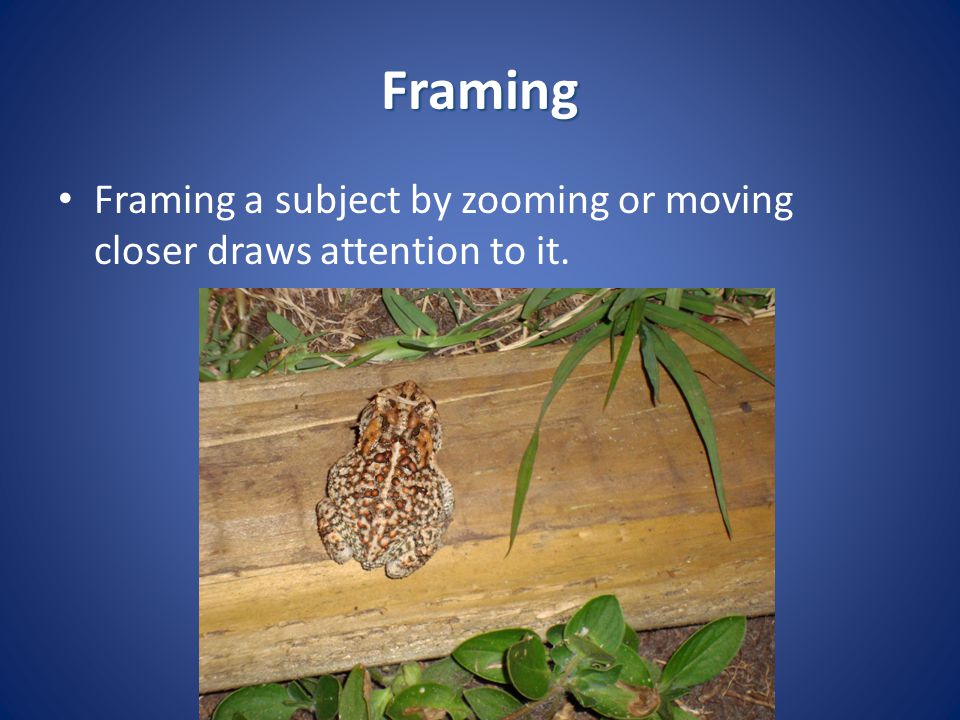 Framing Framing a subject by zooming or moving closer draws attention to it.