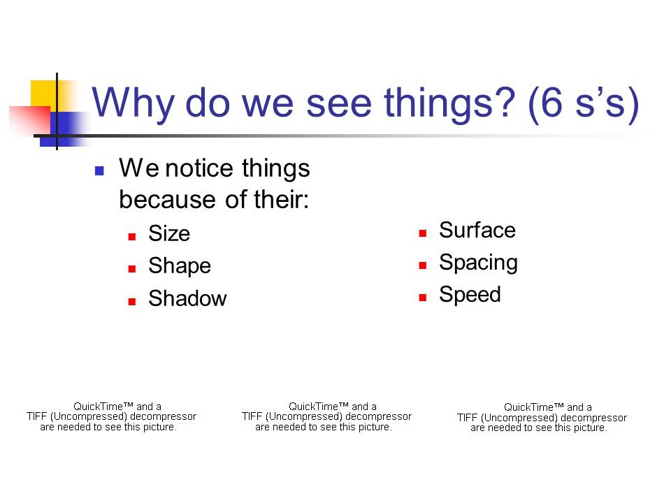 Why do we see things.
