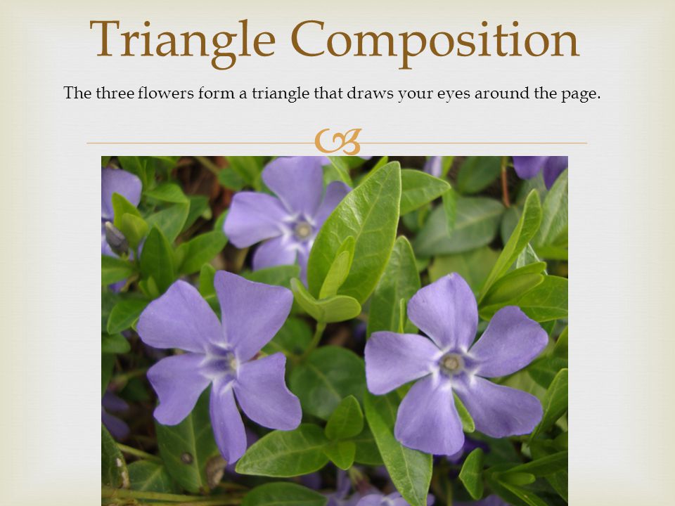 Triangle Composition The three flowers form a triangle that draws your eyes around the page.