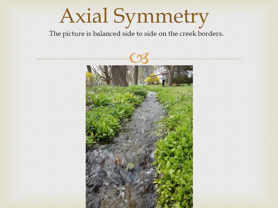  Axial Symmetry The picture is balanced side to side on the creek borders.