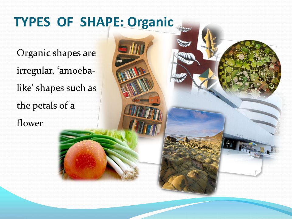 TYPES OF SHAPE: Organic Organic shapes are irregular, ‘amoeba- like’ shapes such as the petals of a flower