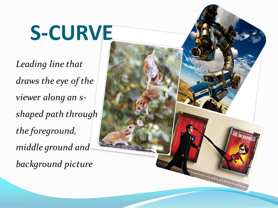 S-CURVE Leading line that draws the eye of the viewer along an s- shaped path through the foreground, middle ground and background picture