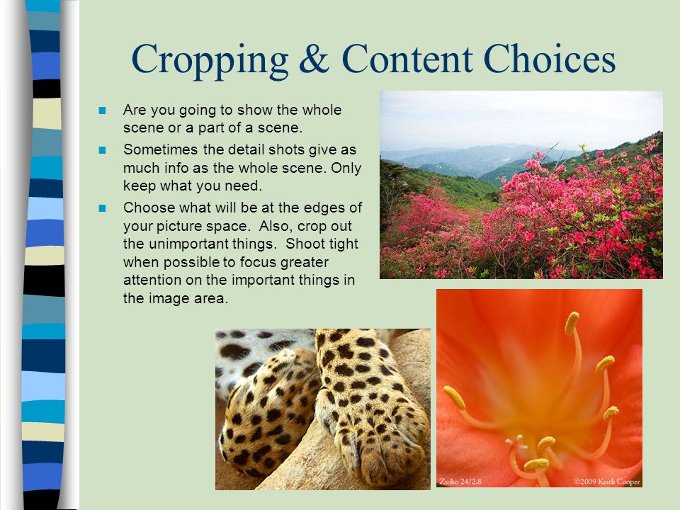 Cropping & Content Choices Are you going to show the whole scene or a part of a scene.