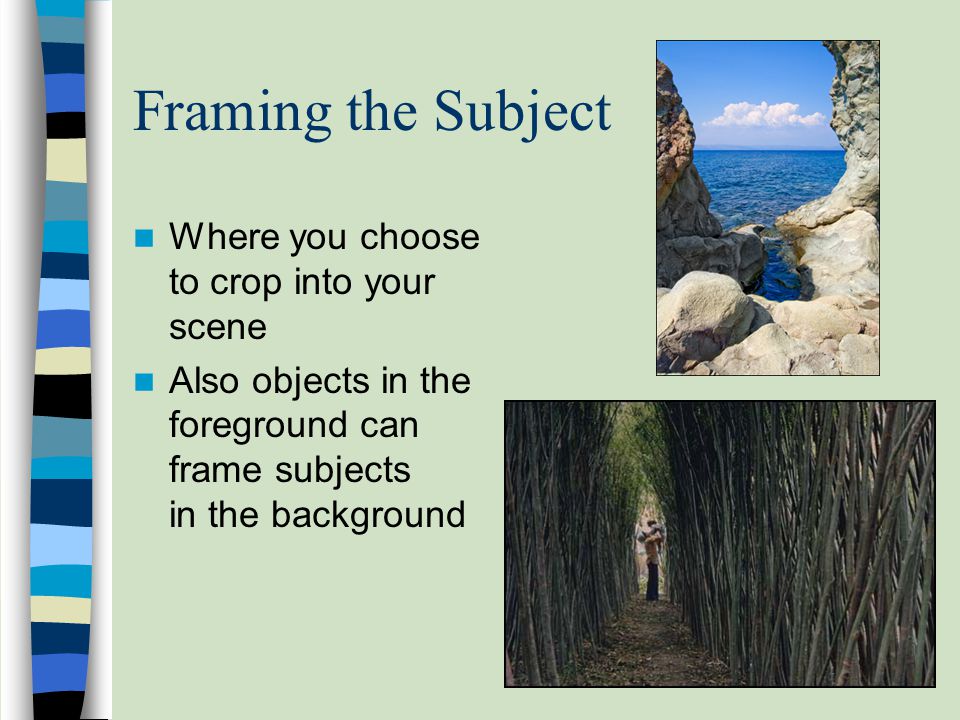 Framing the Subject Where you choose to crop into your scene Also objects in the foreground can frame subjects in the background