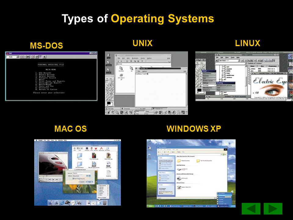 Types of Operating Systems MS-DOS WINDOWS XPMAC OS LINUXUNIX