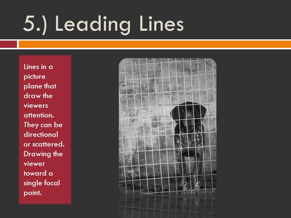 5.) Leading Lines Lines in a picture plane that draw the viewers attention.