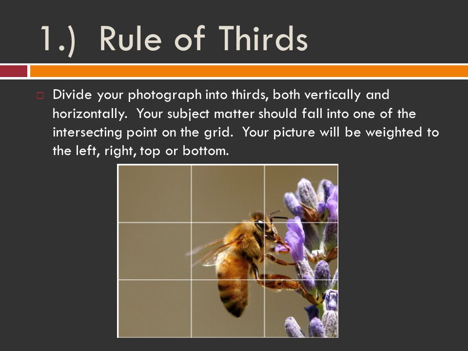 1.) Rule of Thirds  Divide your photograph into thirds, both vertically and horizontally.