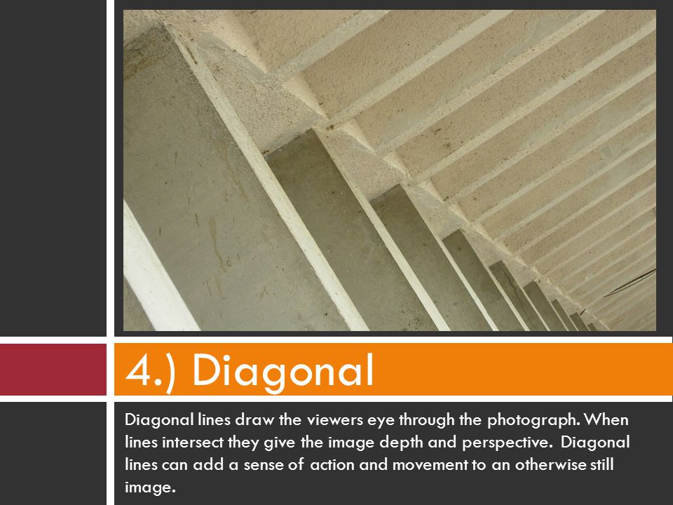 Diagonal lines draw the viewers eye through the photograph.
