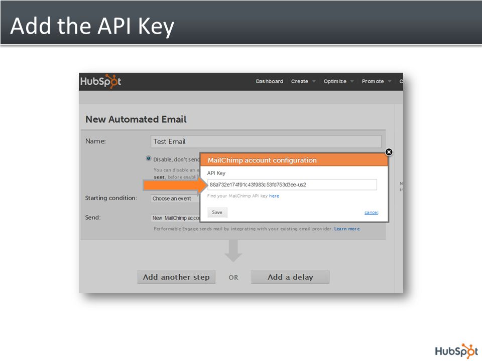 Add the API Key