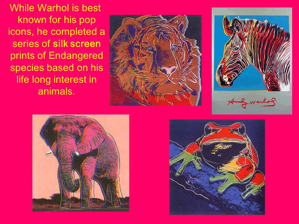 While Warhol is best known for his pop icons, he completed a series of silk screen prints of Endangered species based on his life long interest in animals.