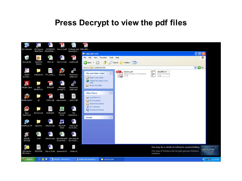 Press Decrypt to view the pdf files