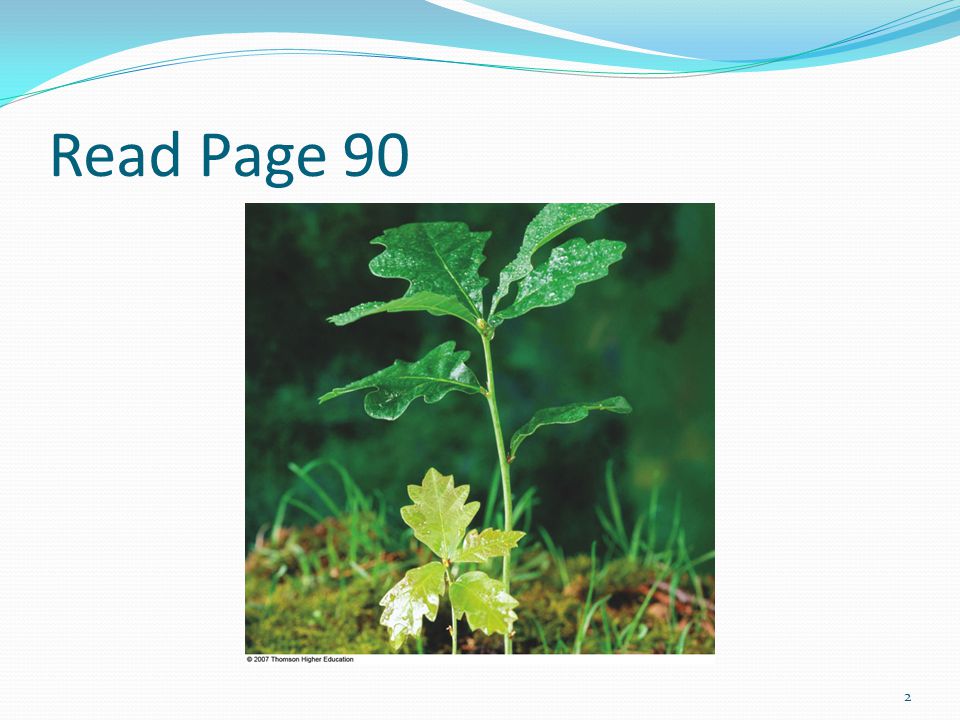 chapter 5 notes pages white oak illinois state tree white oak