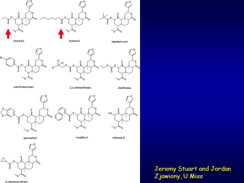 Screening the 'receptorome' to discover the molecular targets responsible  for psychoactive plant actions in humans Bryan Roth, MD, PhD Biochemistry  Case. - ppt download