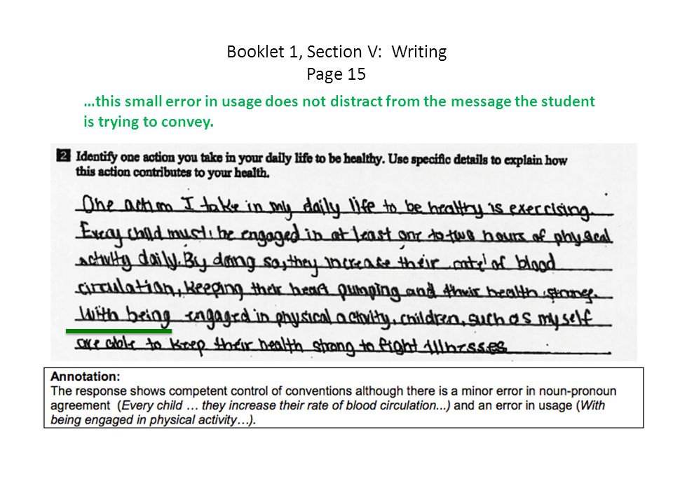 Booklet 1, Section V: Writing Page 15 …this small error in usage does not distract from the message the student is trying to convey.