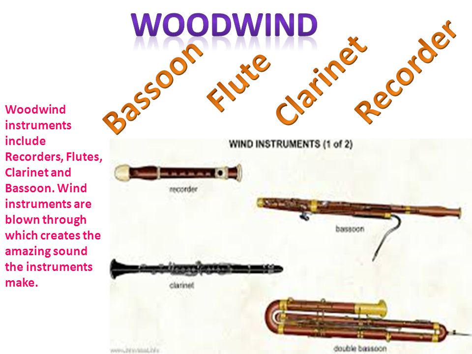 Woodwind and online percussion instruments