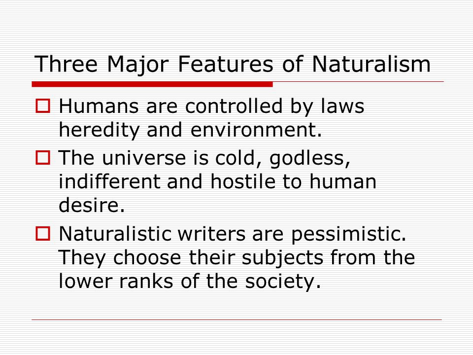 Main Features of American Literature Main Features of American Literature