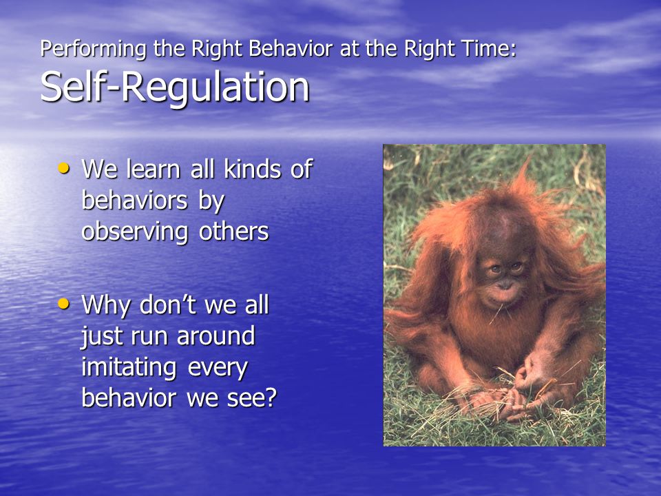 Performing the Right Behavior at the Right Time: Self-Regulation We learn all kinds of behaviors by observing others We learn all kinds of behaviors by observing others Why don’t we all just run around imitating every behavior we see.