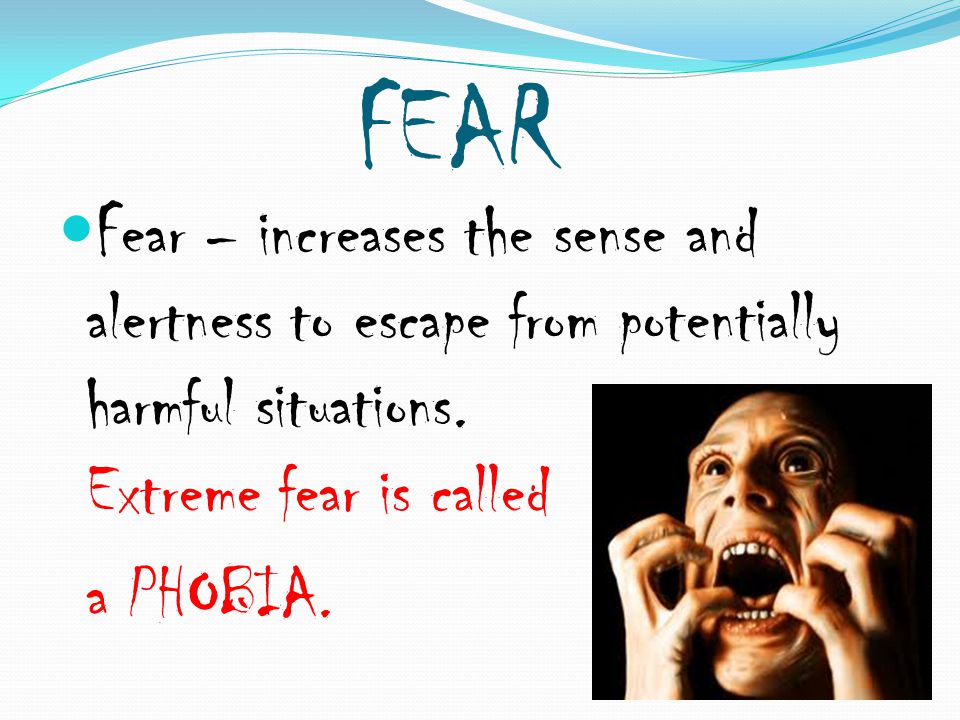 FEAR Fear – increases the sense and alertness to escape from potentially harmful situations.