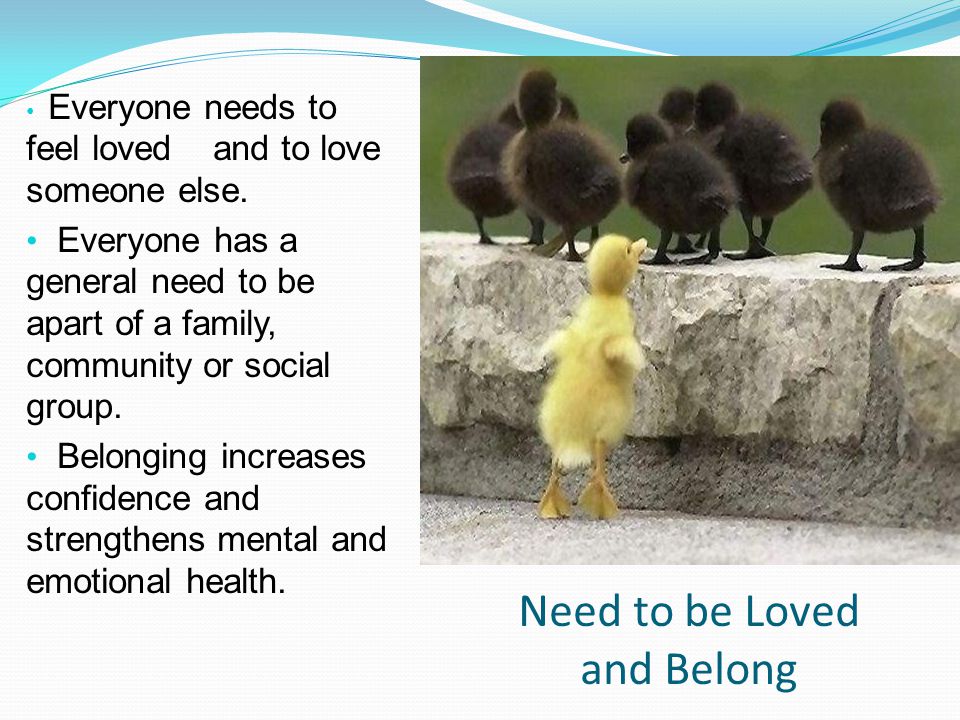 Need to be Loved and Belong Everyone needs to feel loved and to love someone else.